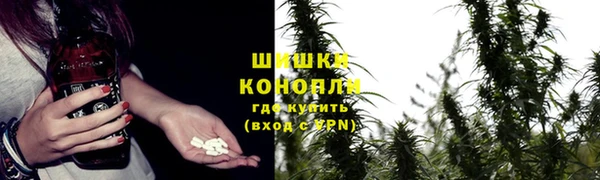 дмт Верея