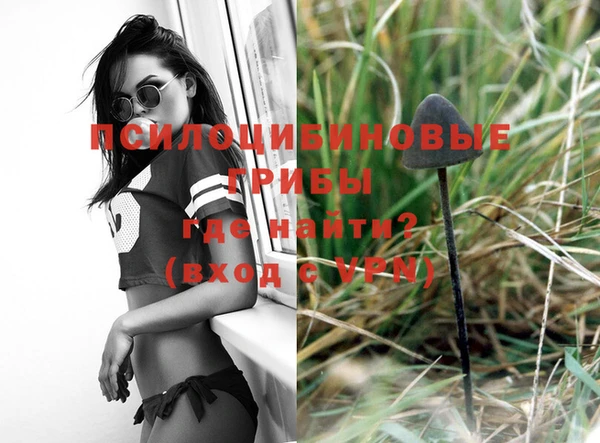 дмт Верея