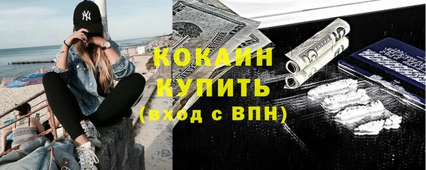 ПСИЛОЦИБИНОВЫЕ ГРИБЫ Верхний Тагил