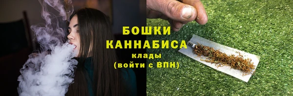 ПСИЛОЦИБИНОВЫЕ ГРИБЫ Верхний Тагил